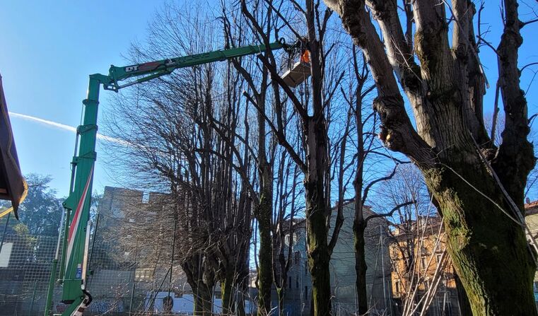 immagine evento