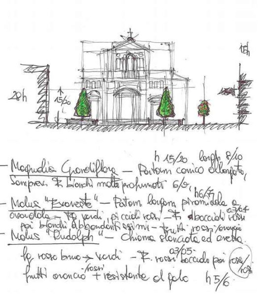 progetto del verde piazza petazzi